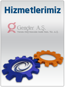 hizmetler-gencler